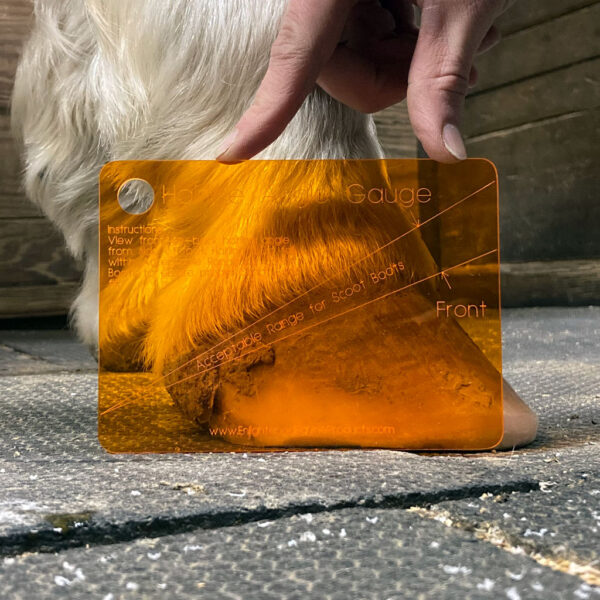 Hoof Measurement Package - Image 4