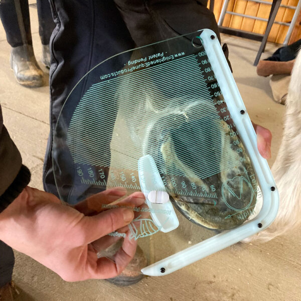 Hoof Measurement Package - Image 2