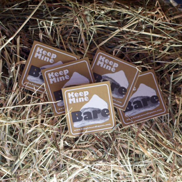 "Keep Mine Bare" Sticker - 5 Pack - Image 4